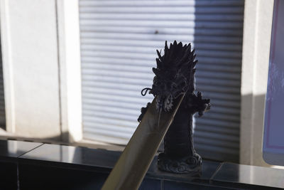 High angle view of cat on window