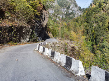 Road amidst trees against mountains