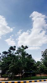 Low angle view of trees against sky