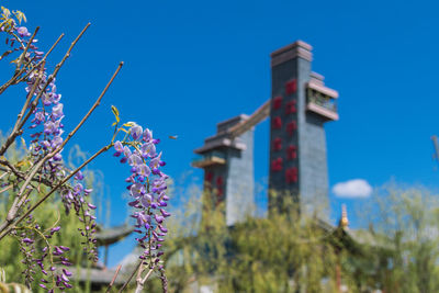 Low angle view of flowering plants against blue sky