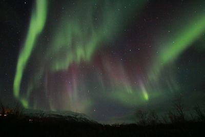 Low angle view of sky at night