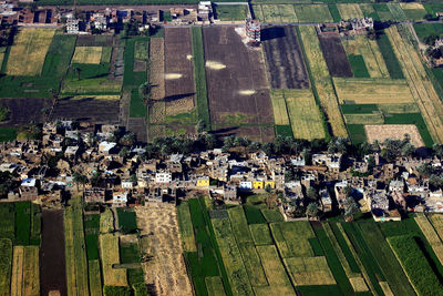 High angle view of agricultural landscape