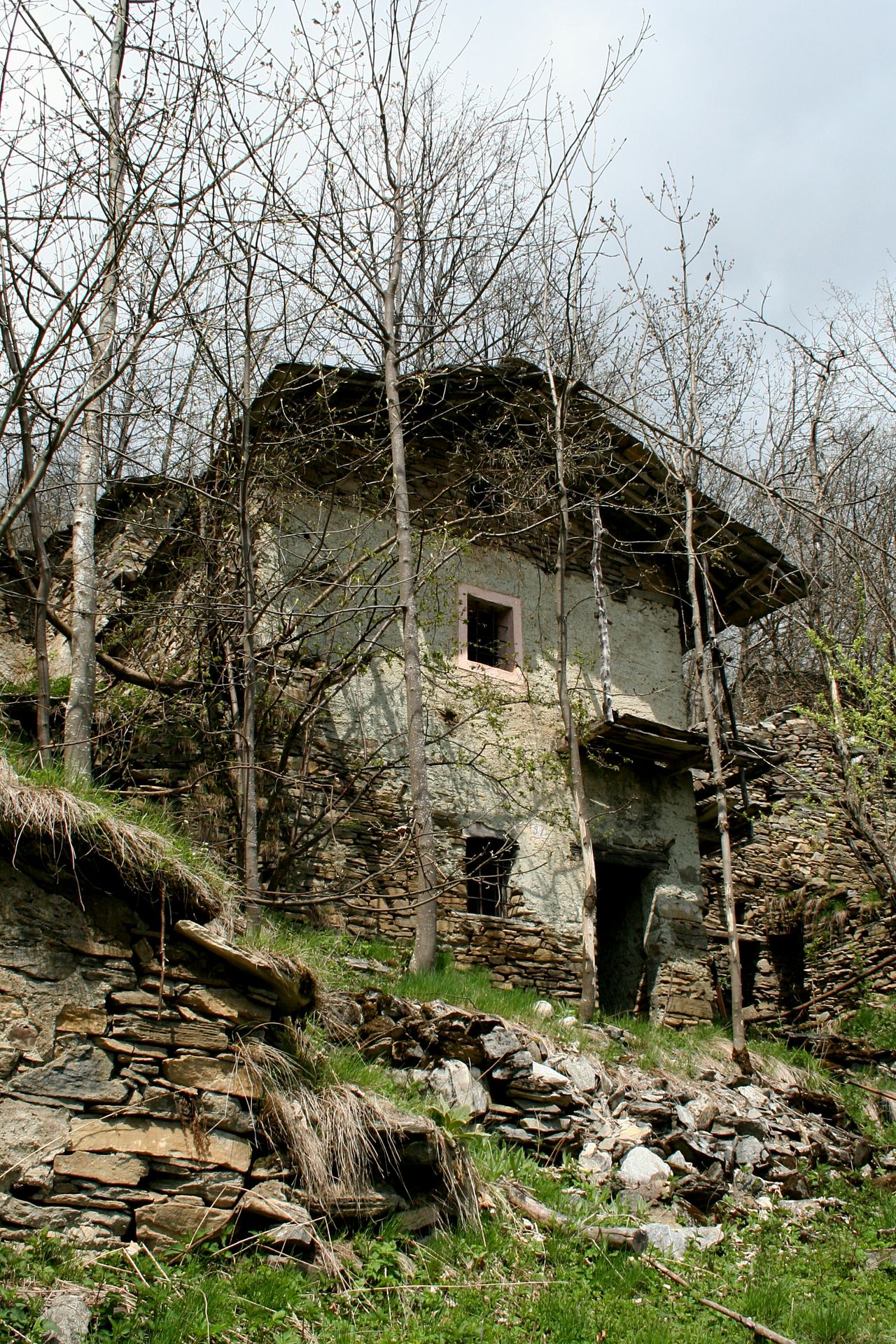 Old house in the forest