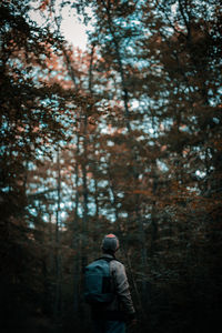 Rear view of man standing in forest