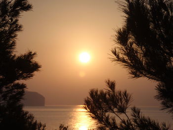 Silhouette trees by sea against sky during sunset