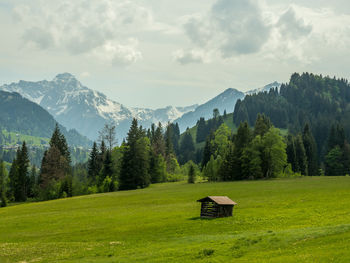 Hut on grassy field against mountains