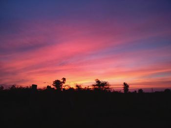 Silhouette trees against dramatic sky during sunset