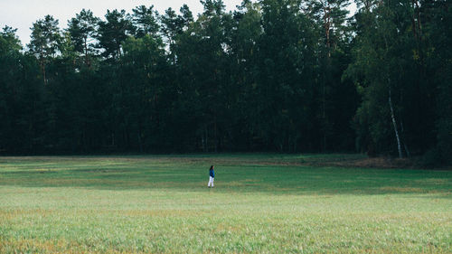 Man running on field in forest