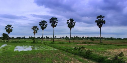 Scenic view of grassy field against cloudy sky