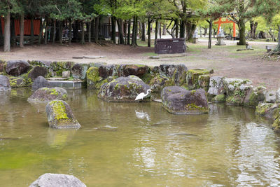 Stream flowing through rocks