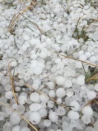Close-up of snow on ground during winter