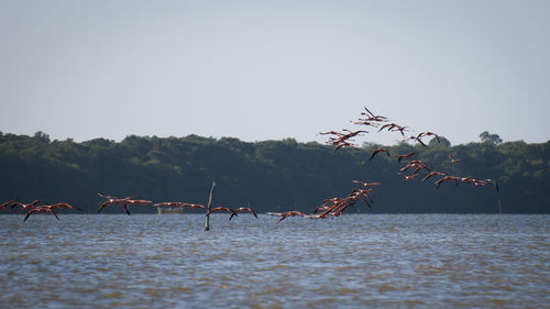 Scenic view of sea against clear sky