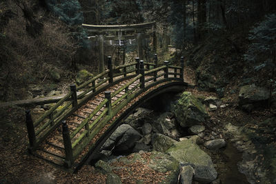 High angle view of footbridge in forest