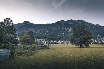 Scenic view of field against sky