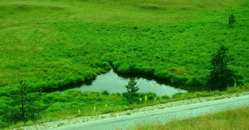 Scenic view of landscape and lake