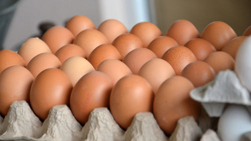 Close-up of eggs in row