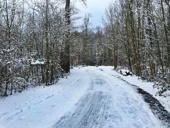 Snow covered road amidst trees during winter