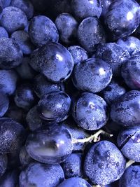 Full frame shot of blueberries