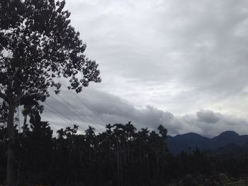 Silhouette of trees on mountain against cloudy sky