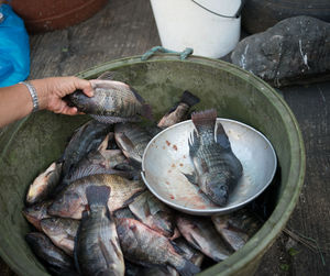 Man holding fish at market