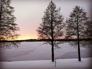 Silhouette trees by lake against sky during sunset