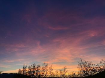 Silhouette trees against sky during sunset