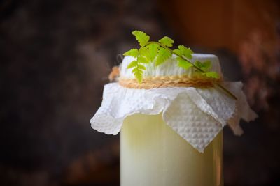 High angle view of bread on leaf