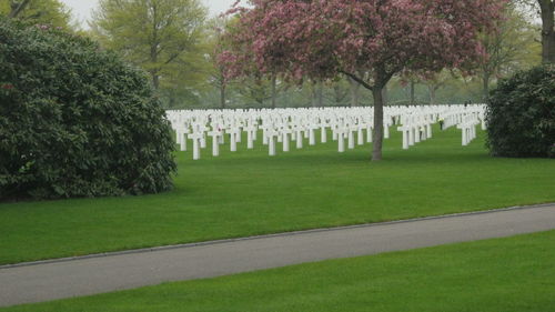 View of cemetery