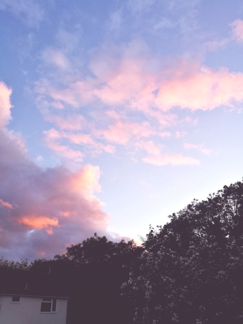 LOW ANGLE VIEW OF SILHOUETTE TREE AGAINST SKY