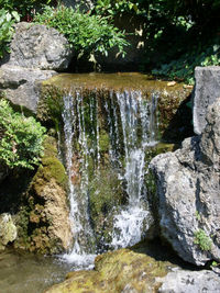 Scenic view of waterfall