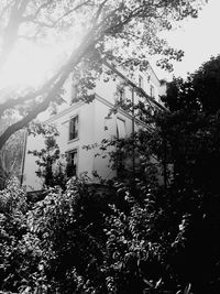 Low angle view of trees and buildings against sky