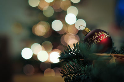 Low angle close-up of christmas tree
