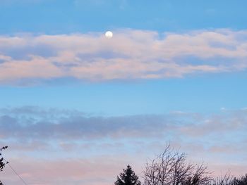 Low angle view of silhouette trees against sky