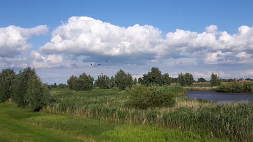 Scenic view of calm countryside lake against sky