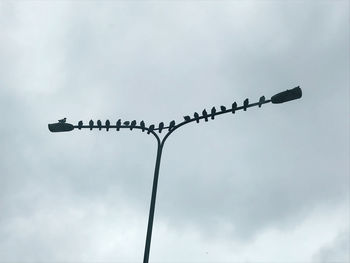 Low angle view of birds perching on street light