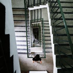 staircase