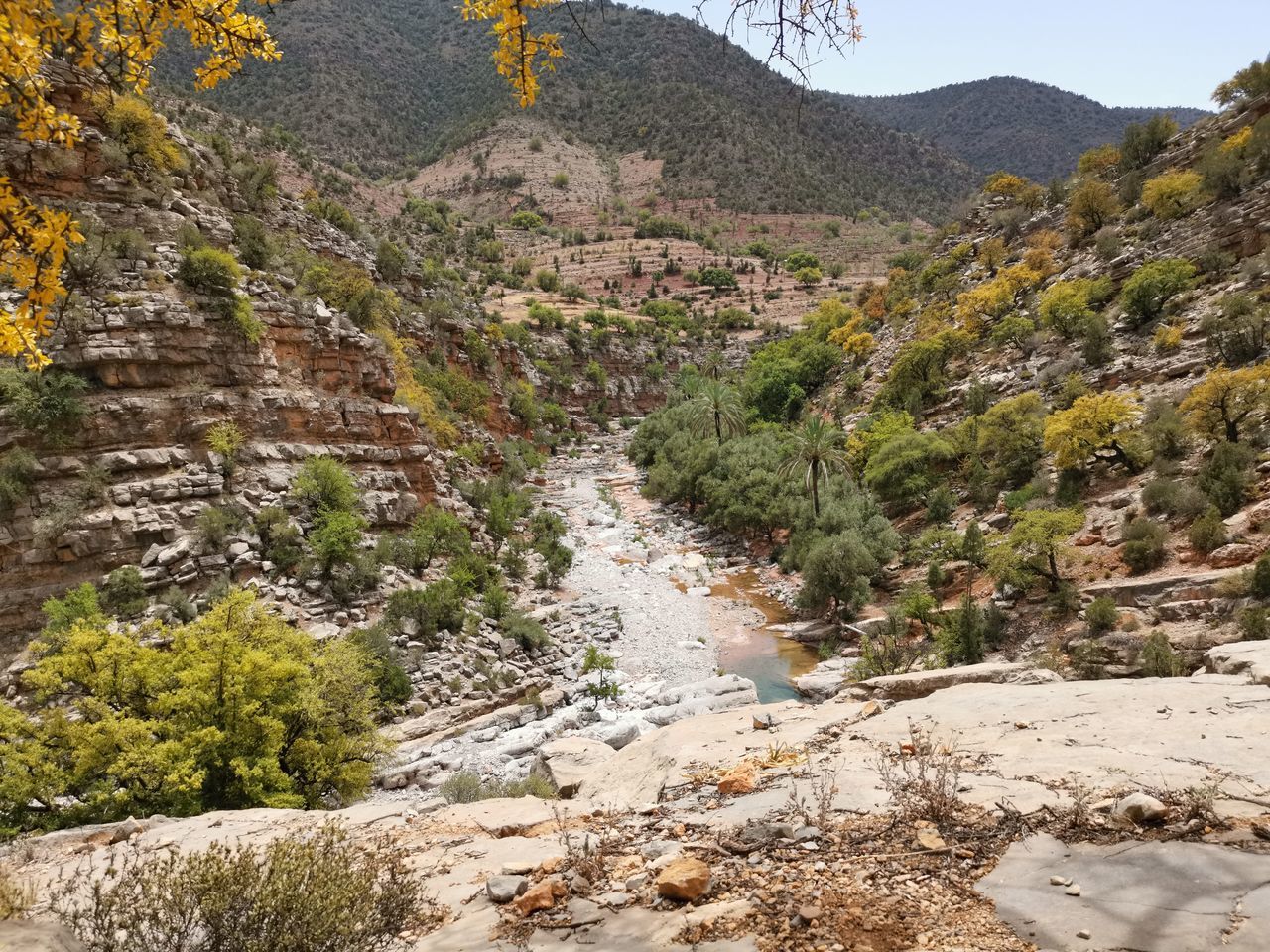 SCENIC VIEW OF LANDSCAPE