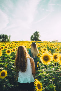 Rear view of sunflowers blooming on field against sky