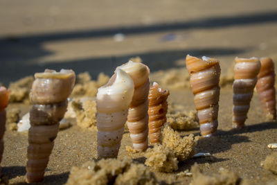Close-up of candles on sand at beach