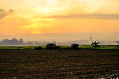 Scenic view of field against sky during sunset