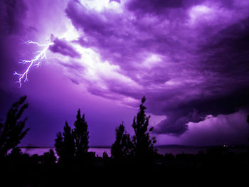 Silhouette of trees against dramatic sky at night