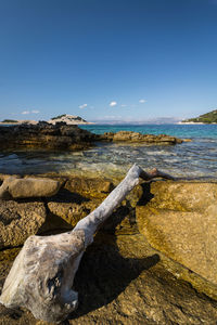 Scenic view of beach