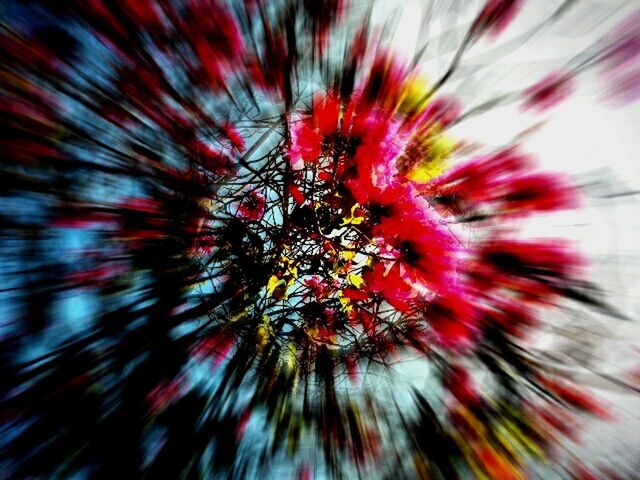 red, multi colored, close-up, backgrounds, pattern, full frame, no people, blurred motion, outdoors, flower, motion, pink color, selective focus, vibrant color, day, colorful, low angle view, nature, long exposure, design