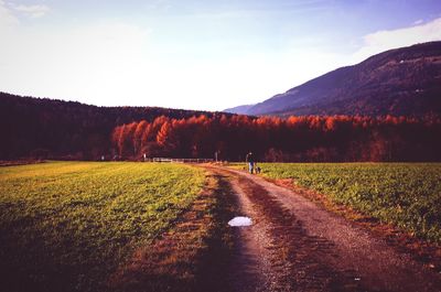 Road amidst trees against sky