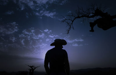 Rear view of man standing against sky during sunset