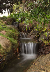 Scenic view of waterfall in forest