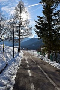 Road by trees against sky during winter