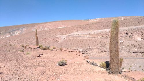 Scenic view of desert against clear sky