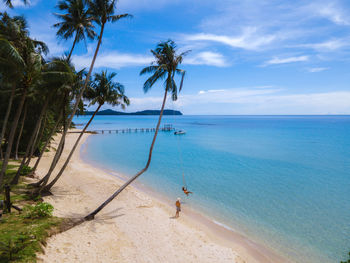 Palm trees on beach against sky