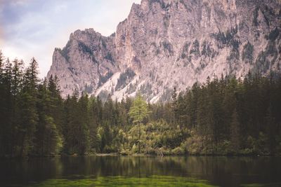 Scenic view of lake by trees against sky